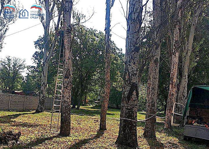 Иван Адамец: В течение текущей недели силами специалистов коммунальных служб были выполнены работы по спилу сухих и аварийных деревьев на территории Куйбышевского района