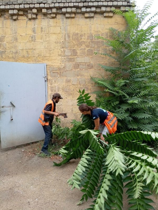 Елена Рязанцева: Сегодня, 04.08.2025 года, силами сотрудников жилищно-коммунальных предприятий Пролетарского внутригородского района г. Донецка были выполнены следующие работы: