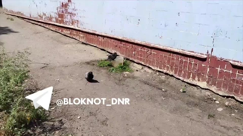 ������ ������� ������� ���� � �������� �� ������, ������������ ������� ��� ��������������