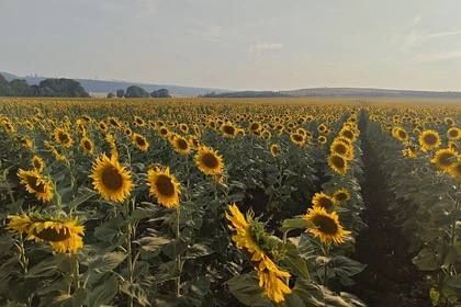 � ��� ������� � ��������� �� �������� ������������� � ��������
