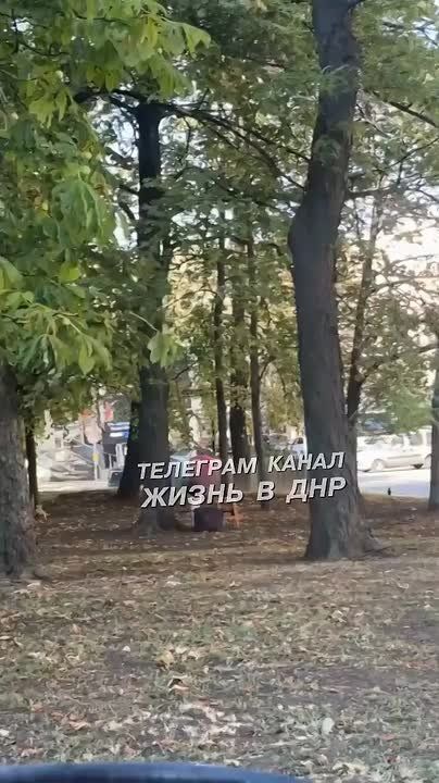 �������� �������� ������ �� �������