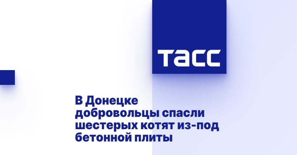 � ������� ����������� ������ �������� ����� ��-��� �������� �����