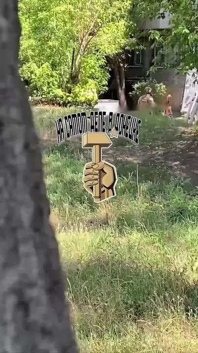 ����� �� ����� ����������� ������� ����� � ����������� ������������� ����������