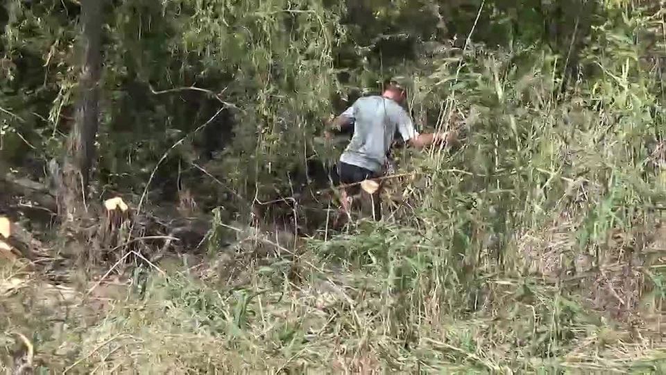 Идет расчистка русла реки Кальмиус