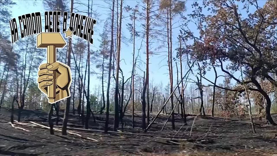 ���� �� ������ ���, � ������ ��������������� ��� �������� ������ ������ � ����� ���������