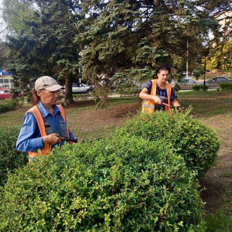 ������ ��������: �������� ���� ������� �� ��������������� ������������� ������ ��� ���� ������� ������������� �. ������� 8 �������