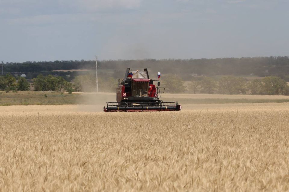 «Этот год стал настоящим испытанием»: аграрии ДНР получат дополнительную поддержку
