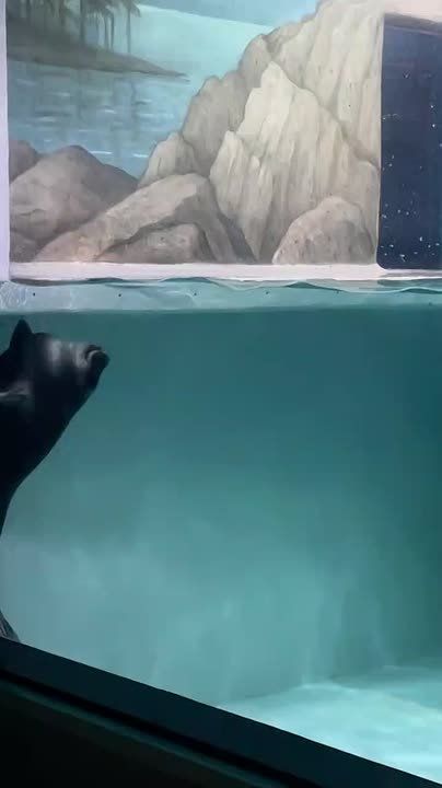 ������� ���� ������ � ������� ����� �����, ��� �������