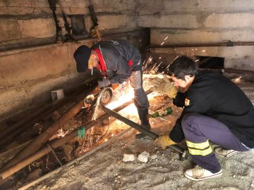  : , 13.08.2025 ,   -     .     :