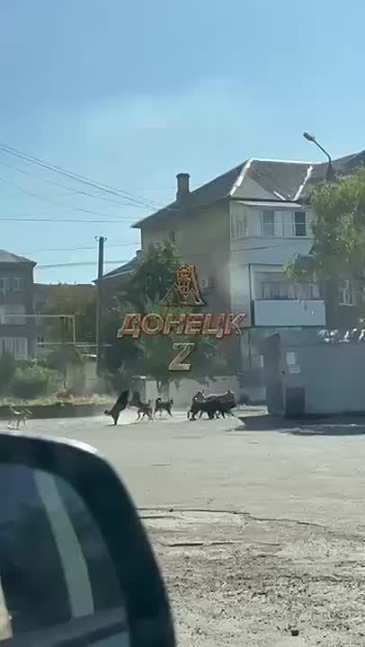 � ������� ��� �� �������� ����� ������ � ������ �������