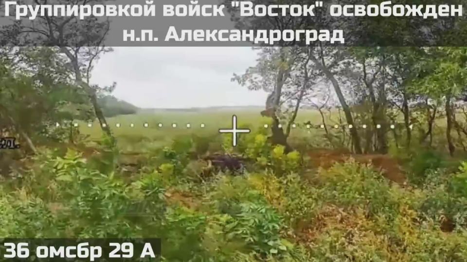 36-� ��������� ����������� �������������� ������� ���������� ��������� ����������� � ������� ����� ���� ��������������