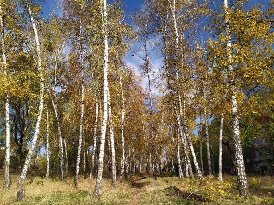 Донбасс всегда был символом тяжелой промышленности, шахтерской славы и инженерной смекалки