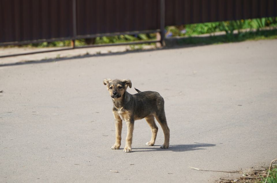 ����� 130 ��������� �������� �������� ������ � ������� �� ���� ������