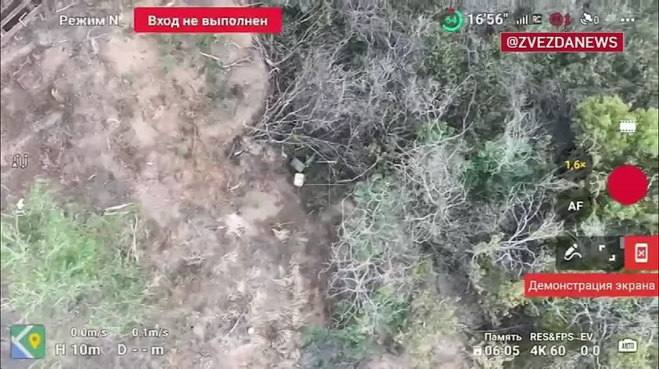 "�������� ������" ��������� �� ����-�������� ����������� �������� ���������� ���������