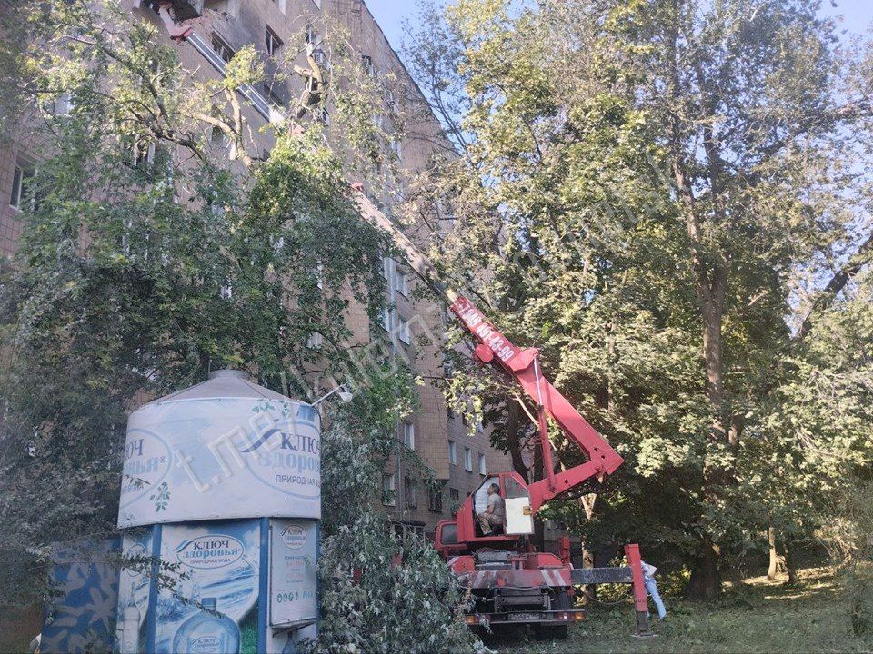 ������� ��������: � ������ ���� ������� ������ �� ���������� ����������� ���������� ��������