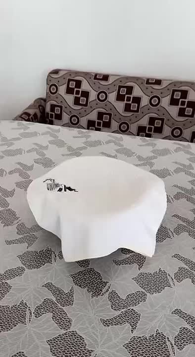 ����� ������� � ���� ������� ������� �������
