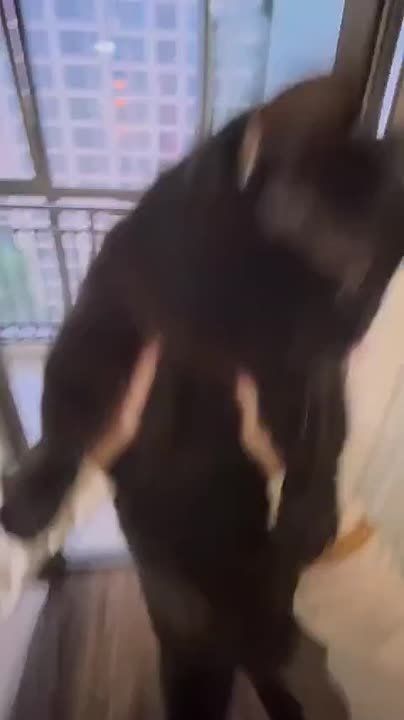 ������� � ����� �������� ����� ��������
