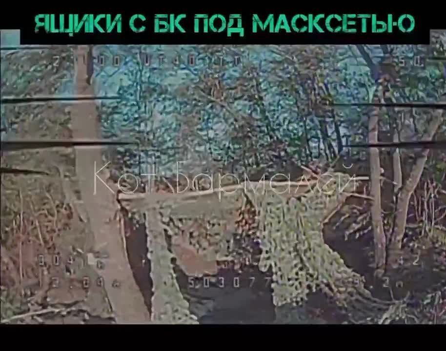 ���� �������� ���� � �������