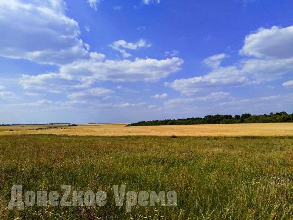 На фоне засухи: аграриям ДНР обещают ускорить выдачу субсидий и отсрочить платежи по кредитам