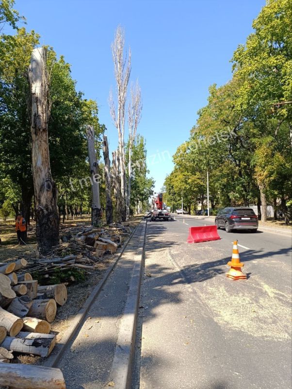 ������� ��������: ������������ ����������� �������� ������������� ���������� ������ �� ��������������� � ������� ������� � � ������ �������