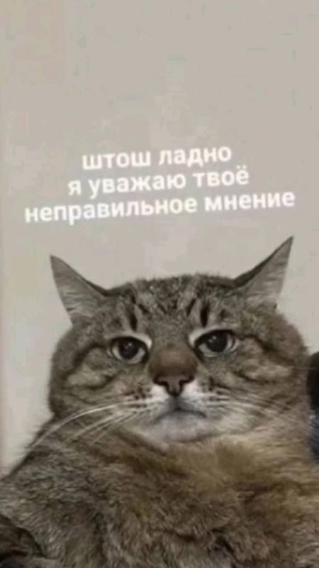 ������ ����� ��������� ��� ����