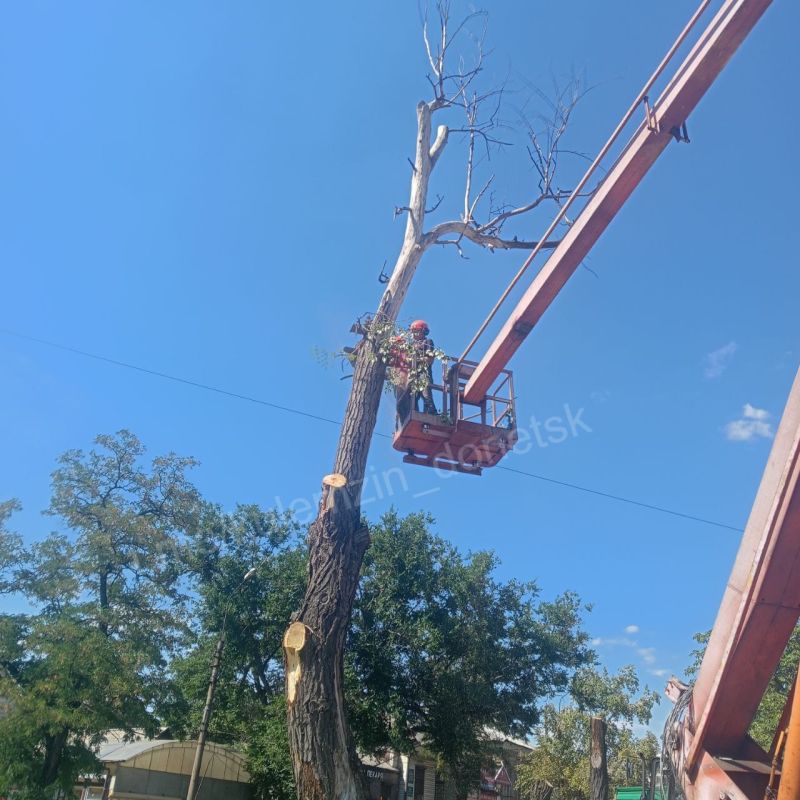 ������� ��������: ��������� ������������� ����������� �������� ������������� ���������� ������ �� ��������������� �� ���� ������� �������, ������������ �� �������� ���������� ����� ��� �������