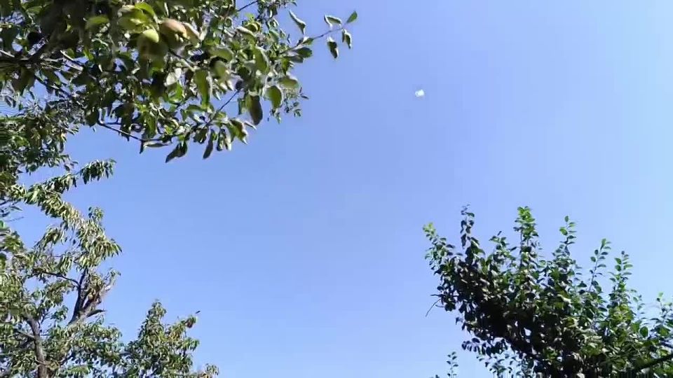 ��������, ��� ��� ���������� ������� ������� ��������� ���