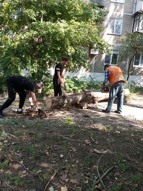Наталья Бегуненко: Петровский район присоединился к акции Чистый четверг