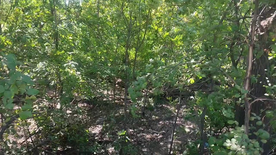 Андрей Бедило: Мы продолжаем работу по возрождению источников воды