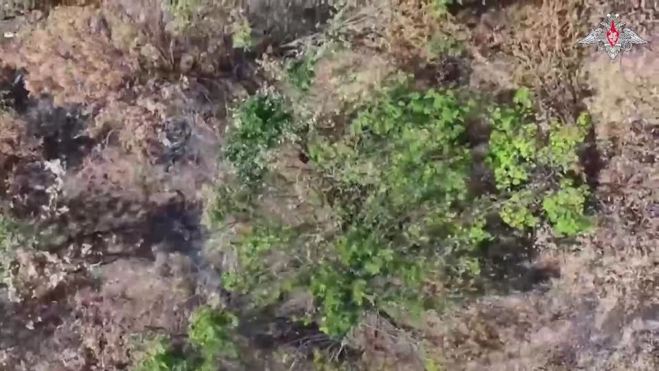 ���������� ������: 00:00 ��������� ���� ����������� ������� ���������� �������� ����������� � ����� ���� ���������� �� ����-�������� �����������