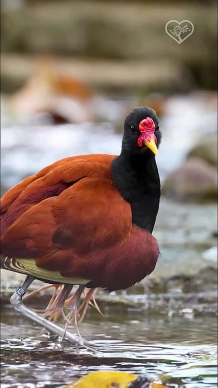  :      ,        ,           ...