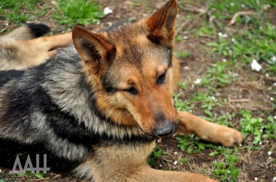 ����� 100 ��������� �������� ����� ������ ���� ������ � ������ ����� ����