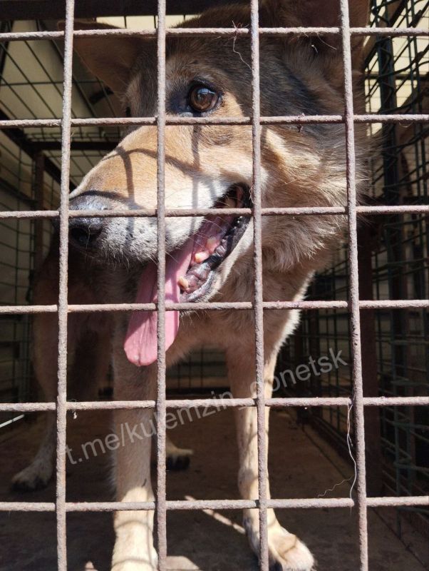 ������� ��������: ���������� ����������� ��������� � ������ ��������� ����� ������� �������� �������, ������� ������� �� ��������� �� ������