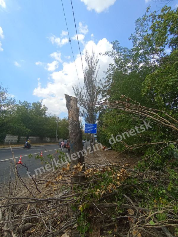 ������� ��������: � ������� �� ������������ ������ �� ���������������