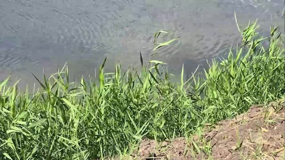 Русла Кальмиуса протяженностью пять километров расчистили от промышленного мусора и зарослей