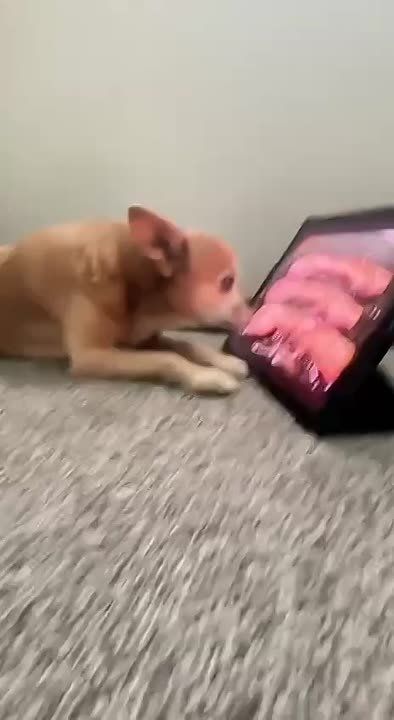 ������������� �������. ������� ������ - ����������� | �������� ��� ������� � �A�