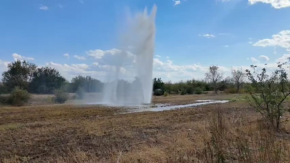 ������ �� ���� ������ ��������