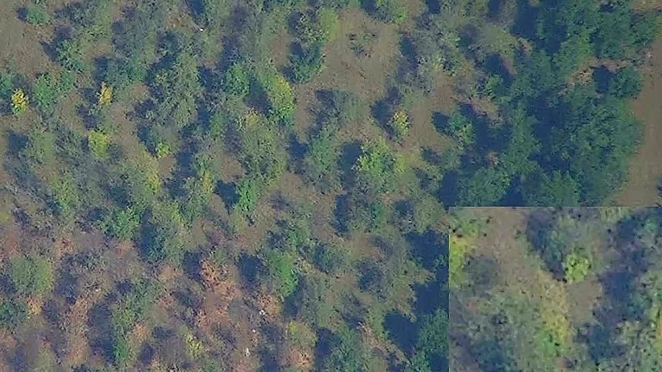 Андрей Руденко: Расчеты БпЛА и артиллерии «Южной» группировки войск в ДНР лишили подразделения ВСУ огневой поддержки