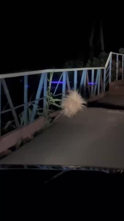 ���������, �������������� �� ��������� �������� ������