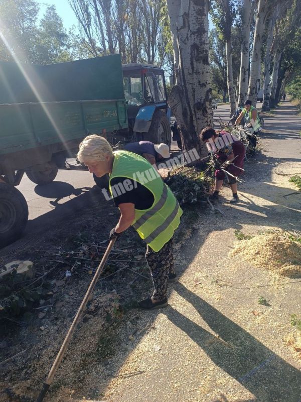 ������� ��������: ���������� ������������� ����������� ������� ������������� ���������� ������ �� ��������������� �������