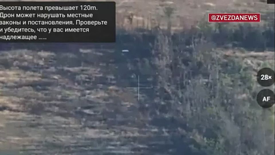 Алексей Леонков: Демонтаж без согласования