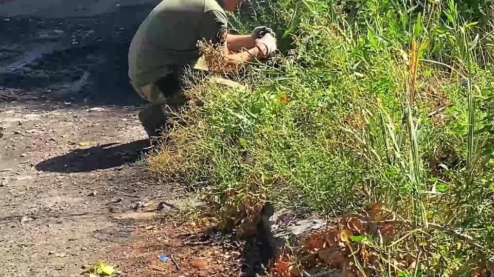 ��� ������� ����� ������� ������������� �� ������ ���