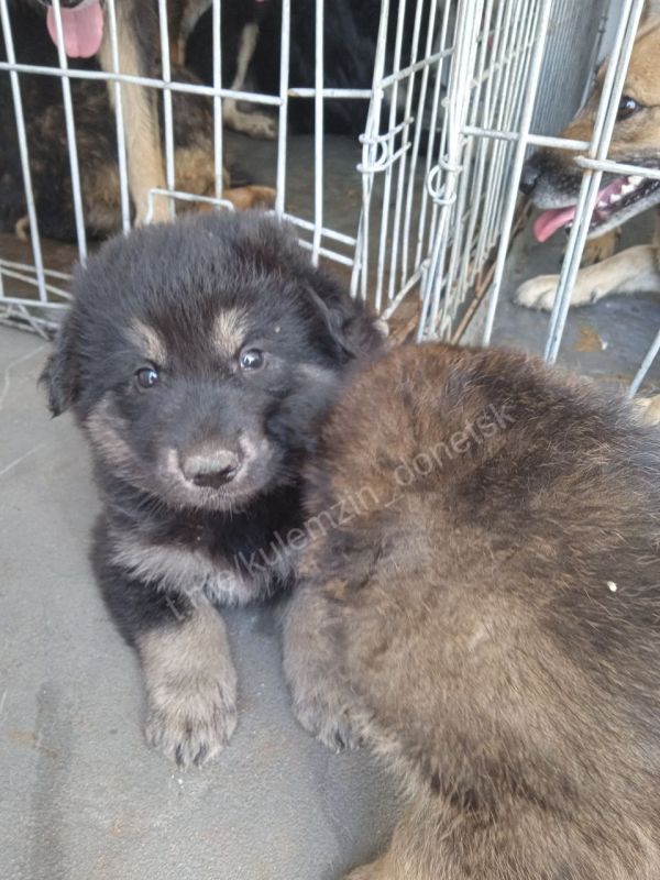 �� ������ � ������� �������� 106 ��������� �����