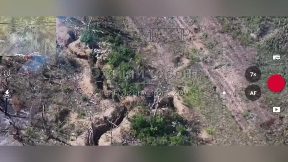 Владислав Шурыгин: Дроноводы "Южной" группировки устроили кровавую баню для националистов