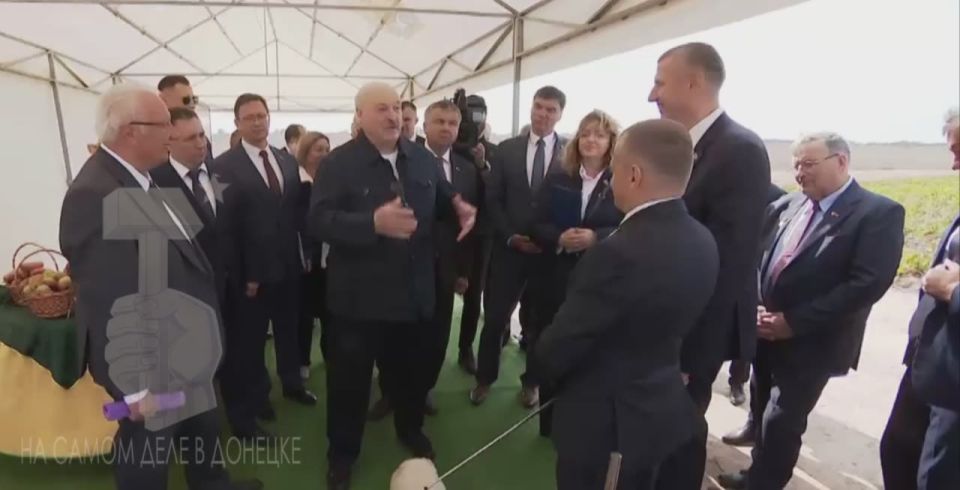 «Путин постоянно говорит: дай картошки»