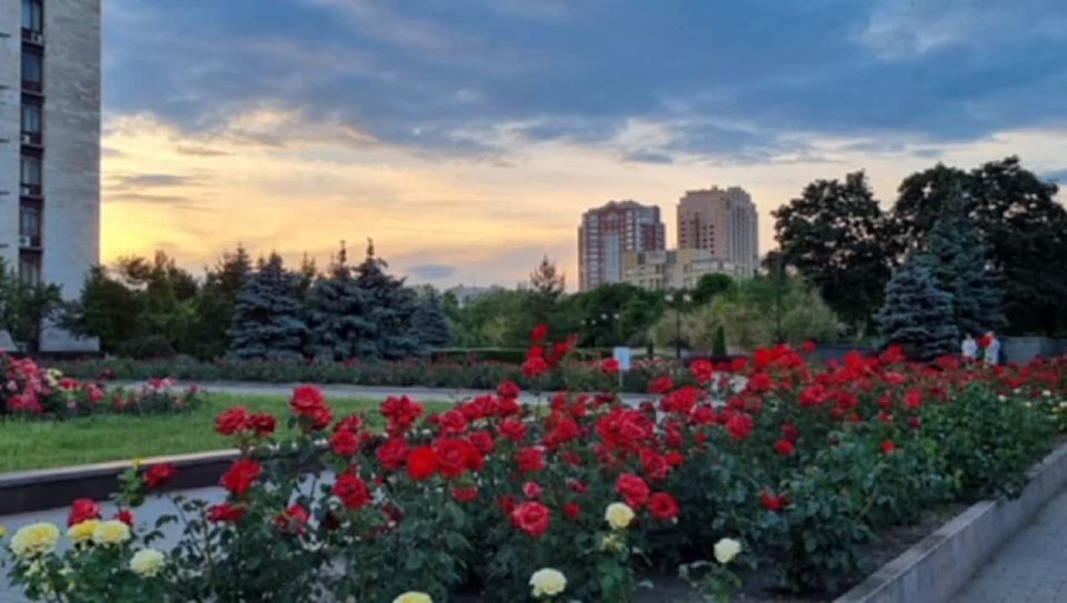 ������� ��������: � ����������, ������!. #����������