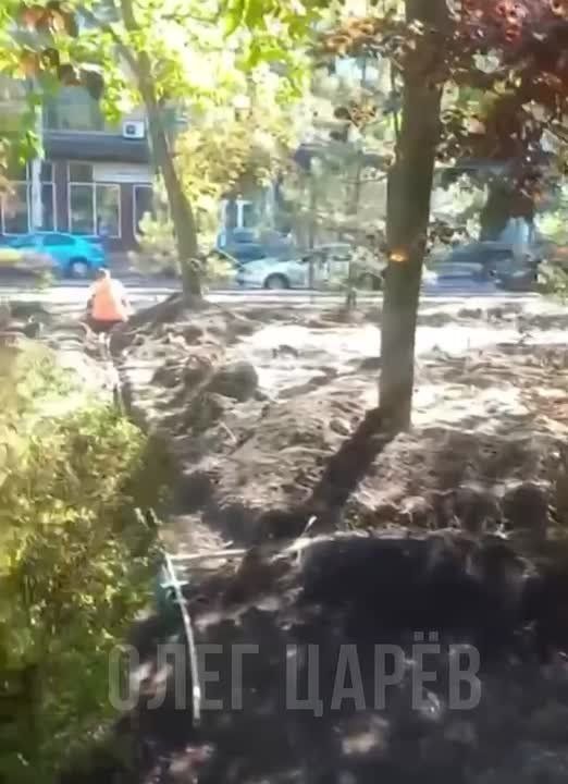 Олег Царёв: Видео снято в Донецке на днях — в городе активно монтируется система полива растений в скверах