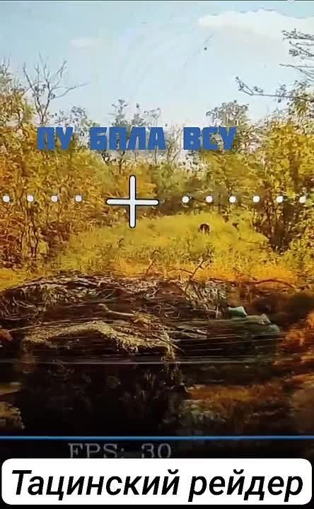 ����� 5-� ��������� ����������� ��������� ��������������� ������� �������� �������� �������� �������