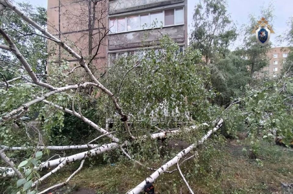 � ������� ����������� ������� 12 ����� ��������� ��������