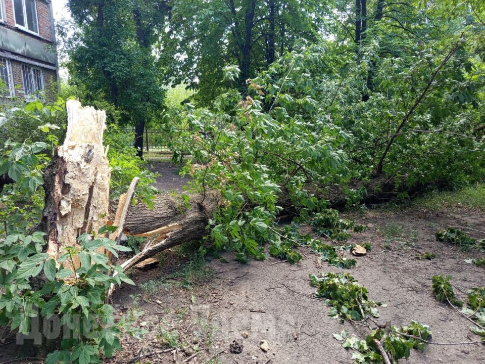 ��� ������������ ������� ������: � ������� ����� ������������� 12 ����� ��������� ��������